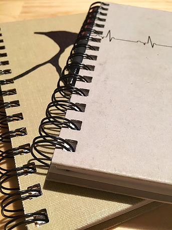 In this photo there are two spiral notebooks--one with a heart monitor reading on the cover, another decorated with a penguin illustration.